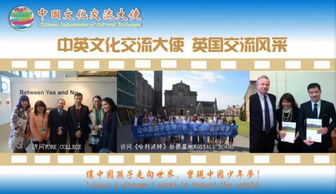 融匯中西，傳遞友誼——第五屆中國文化交流大使選拔活動組織策劃文化藝術交流活動紀實